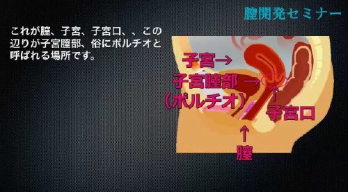 ポルチオの場所を北条麻妃が解説